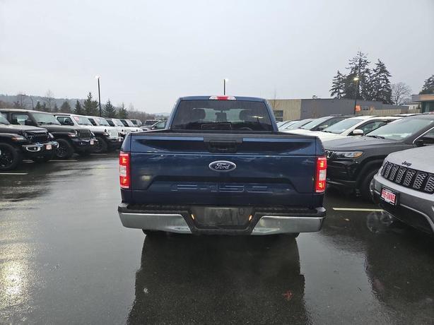 2019 Ford F-150 | Backup Camera! image 5