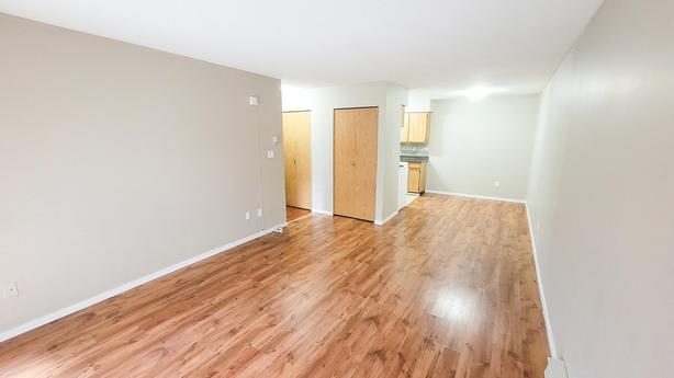 2 bedroom Sunshine Apartments image 4