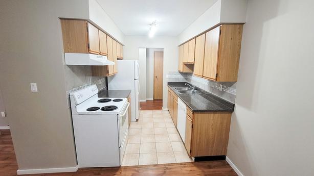 2 bedroom Sunshine Apartments image 6