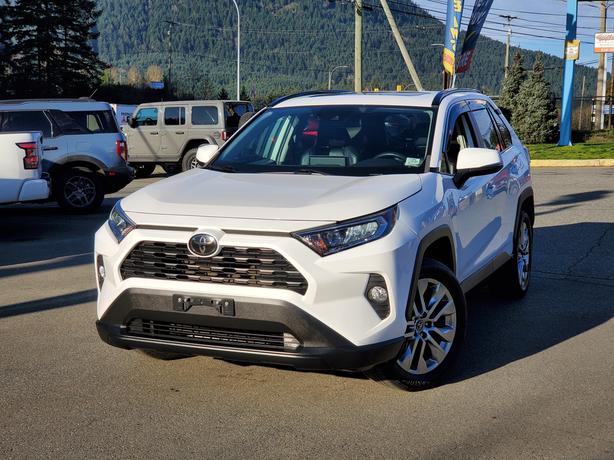 2019 Toyota RAV4 XLE AWD - One Owner, No Accidents image 1