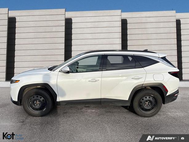 2024 Hyundai Tucson Hybrid Luxury ! LEATHER! BACKUP CAMERA! HEATED SEATS/ STEERI image 3