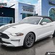 2023 Ford Mustang EcoBoost Convertible | No Reported Accidents! thumbnail image