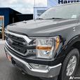 2021 Ford F-150 XLT 4x4 SuperCrew 5.5' Box | Remote Start! thumbnail image 8