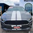 2022 Ford Mustang GT Premium Fastback | No Reported Accidents! clearance thumbnail image 2