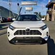 2019 Toyota RAV4 XLE AWD - One Owner, No Accidents thumbnail image 3