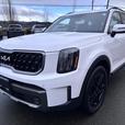 2023 Kia Telluride X-Line thumbnail image 3