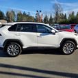 2019 Toyota RAV4 XLE AWD - One Owner, No Accidents thumbnail image 5