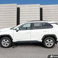 2019 Toyota RAV4 LE NO ACCIDENT! LOW KMS! BACKUP CAMERA! thumbnail image 3
