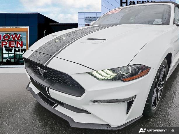 2023 Ford Mustang EcoBoost Convertible | No Reported Accidents! image 8