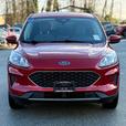 2020 Ford Escape SE - Power Driver's Seat, Heated Seats, BlueTooth thumbnail image 2