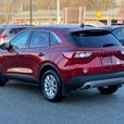 2020 Ford Escape SE - Power Driver's Seat, Heated Seats, BlueTooth thumbnail image 7