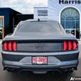 2022 Ford Mustang GT Premium Fastback | No Reported Accidents! clearance thumbnail image 5