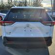 2019 Toyota RAV4 XLE AWD - One Owner, No Accidents thumbnail image 7