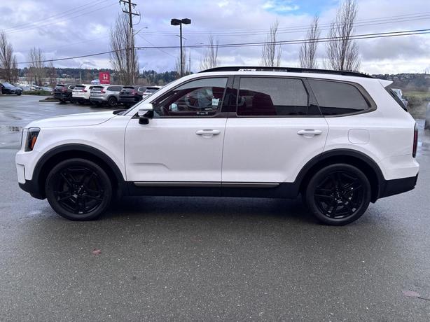 2023 Kia Telluride X-Line image 4