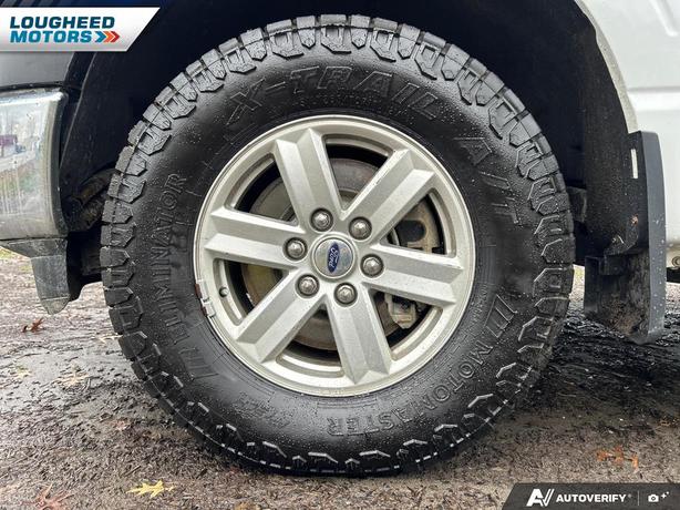 2021 Ford F-150 image 6