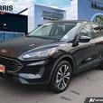 2021 Ford Escape SE AWD | No Reported Accidents! thumbnail image