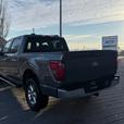 2024 Ford F-150 XLT 4WD SuperCrew 5.5' Box thumbnail image 6