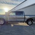 2024 Ford F-150 XLT 4WD SuperCrew 5.5' Box thumbnail image 7