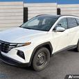 2024 Hyundai Tucson Hybrid Luxury ! LEATHER! BACKUP CAMERA! HEATED SEATS/ STEERI thumbnail image 1