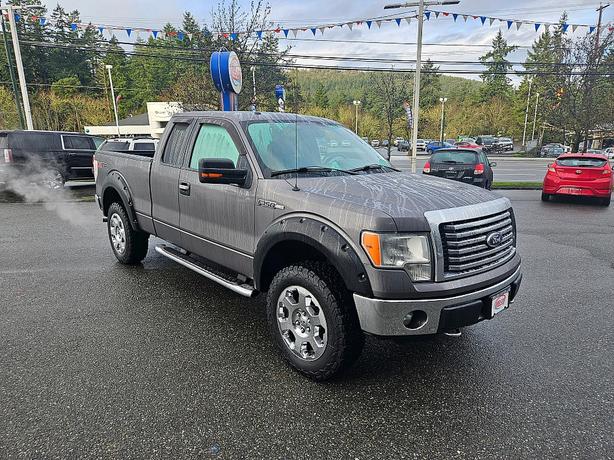 2011 Ford  F-150 XLT image 4