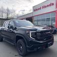 2022 GMC Sierra 1500 AT4 thumbnail image
