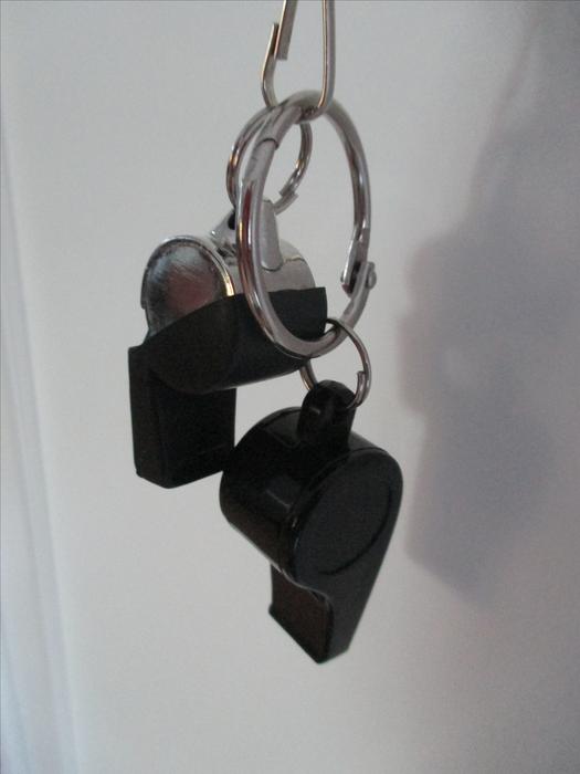 Two Sports Whistles display photo
