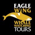 Eaglewingtours profile image