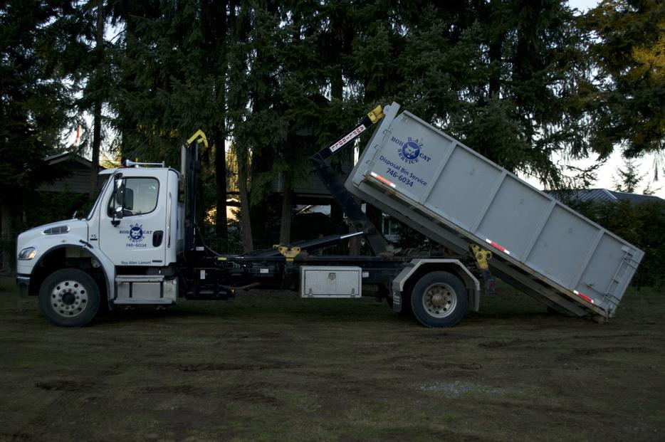 Disposal Bin and/or clean up service provided display photo
