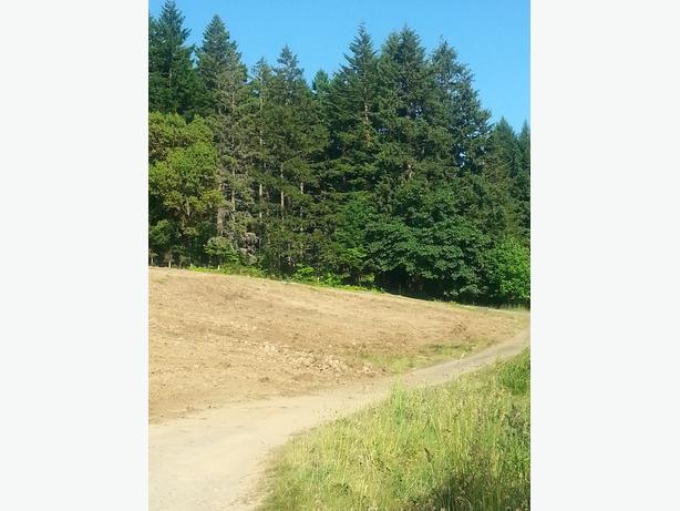 RAL BOBCAT SERVICE image 4