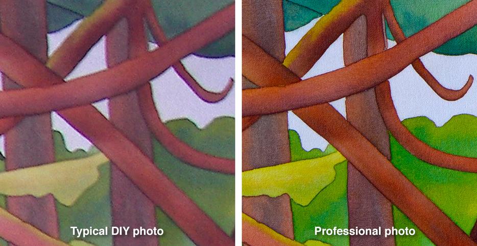 Affordable photography and scanning for artists display photo