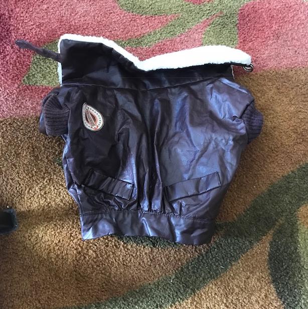 SUPER CUTE! Doggy Bomber jacket image 6