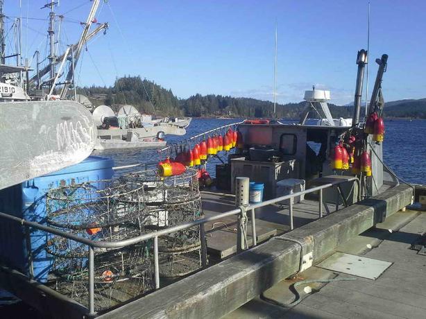 Queensboro Crab, Dive Boat For Sale - Partner image 2