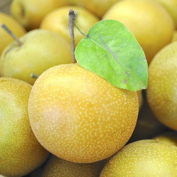 ASIAN PEARS image 1