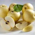 ASIAN PEARS thumbnail image 2