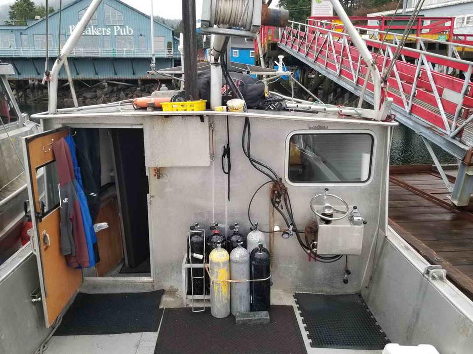 Dive Tender, Prawn, Crab Boat & Licence Package For Sale - Wave Dodger display photo