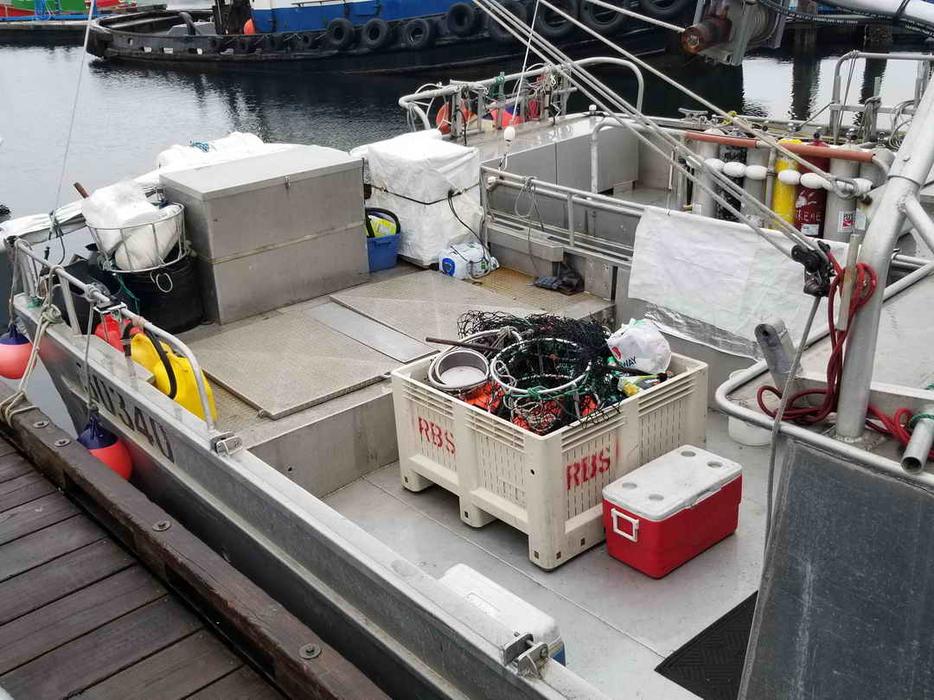 Dive Tender, Prawn, Crab Boat & Licence Package For Sale - Wave Dodger display photo