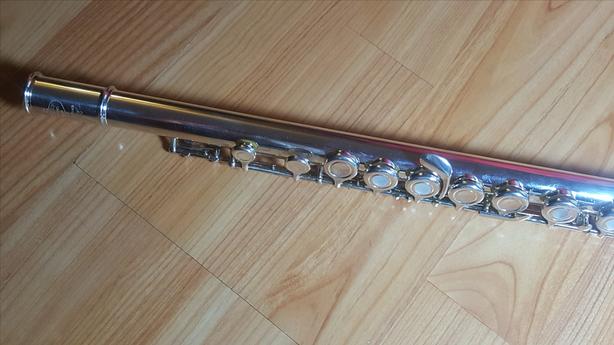 Serviced beginner Flutes image 1