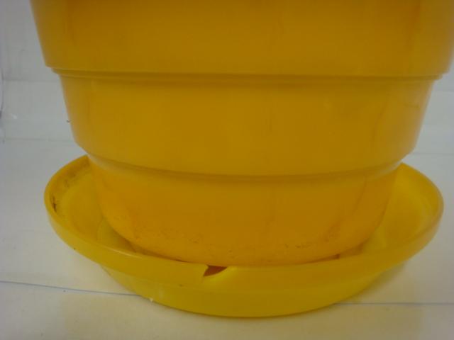 VINTAGE PLANTERS FROM THE 1950's  SELLING FOR $5.00 each display photo