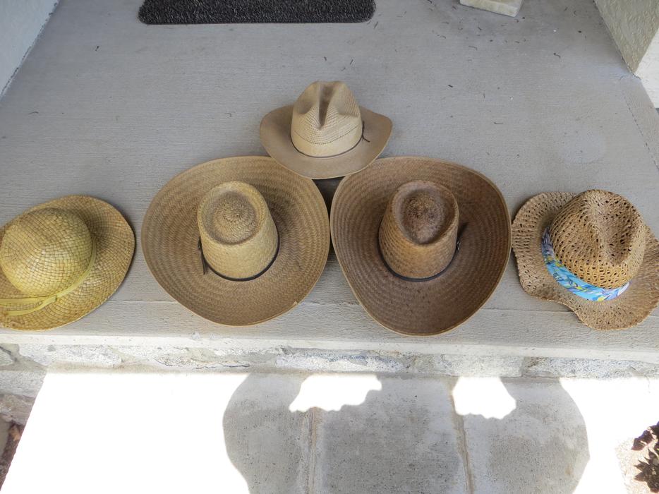 Gardening Hats......or? display photo