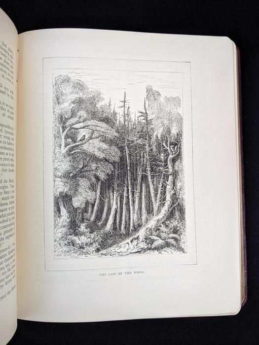 1888 Parables of Nature, Scarce First and Second Series 1st Edition display photo
