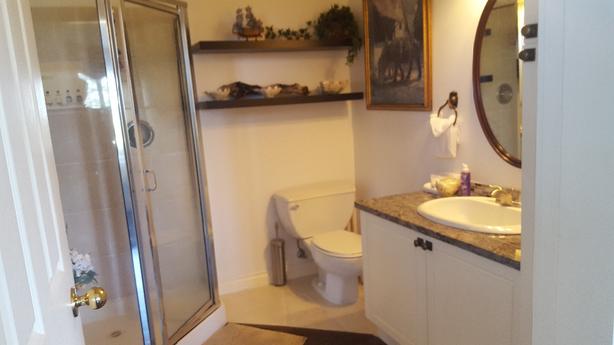 Monthly/Weekly<>GORGEOUS Ocean View KING Suite near Victoria/Sidney image 8