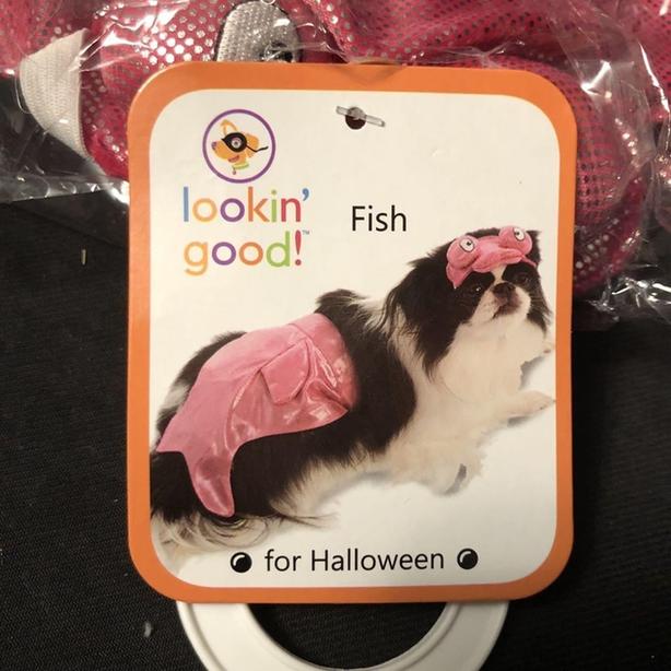 Brand New Fish Dog Costume Sz XS/S for a Small Dog image 1