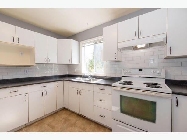 One-bed room suite for rent image 1