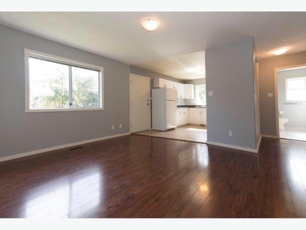 One-bed room suite for rent image 3