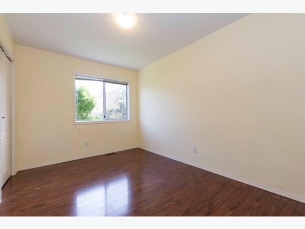 One-bed room suite for rent image 4