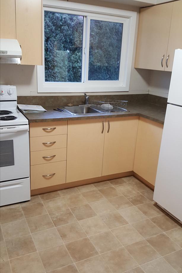 2BR duplex Cook and Haultain image 4