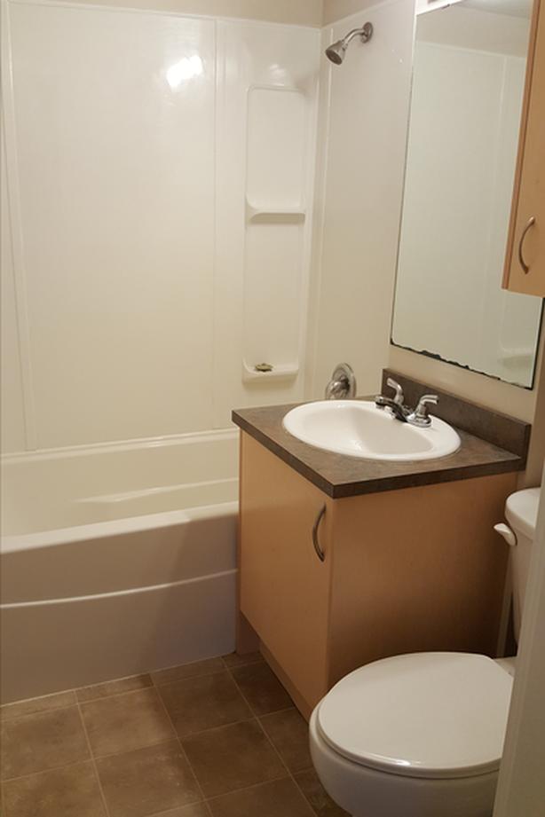 2BR duplex Cook and Haultain image 6