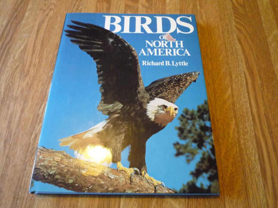 Birds of North America display photo