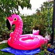 (NEW) GIANT INFLATABLE FLAMINGO-get ready for summer- impress your friends thumbnail image 1