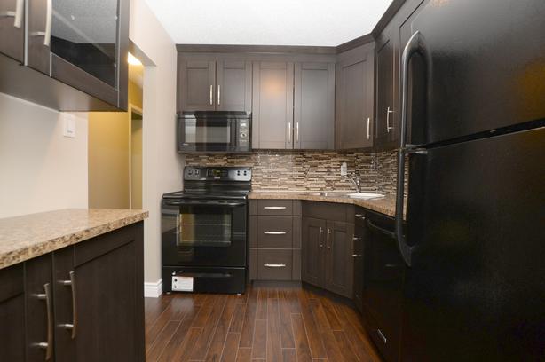 2 BR Condo w/in-suite laundry and balcony (NW - Normanview) image 1